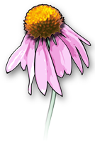 Beauty blooms from within.